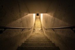 Suchodolska: Gdyby nie strach, bylibyśmy zwycięzcami Nagrody Darwina