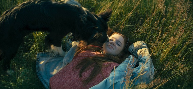 Nowa polska komedia. Dla psiary i psiarza wyprawa do kina to obowiązek