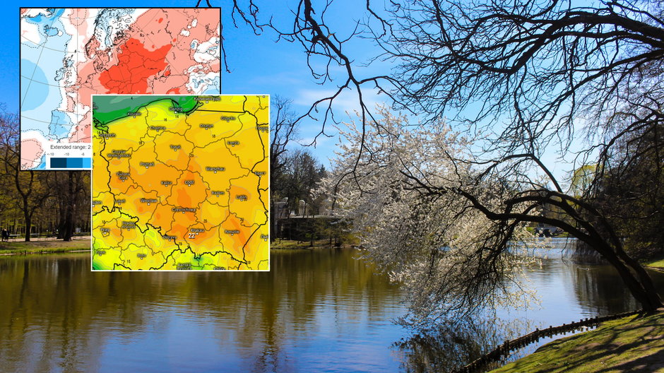 Przed świętami nadejdzie gigantyczne ocieplenie (mapy: ECMWF/kachelmannwetter.de)
