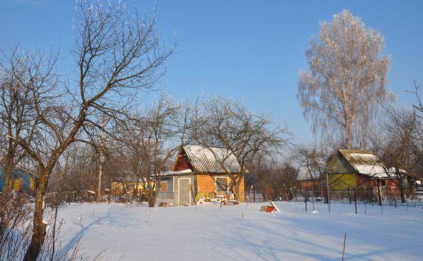 Małe domki na działkach