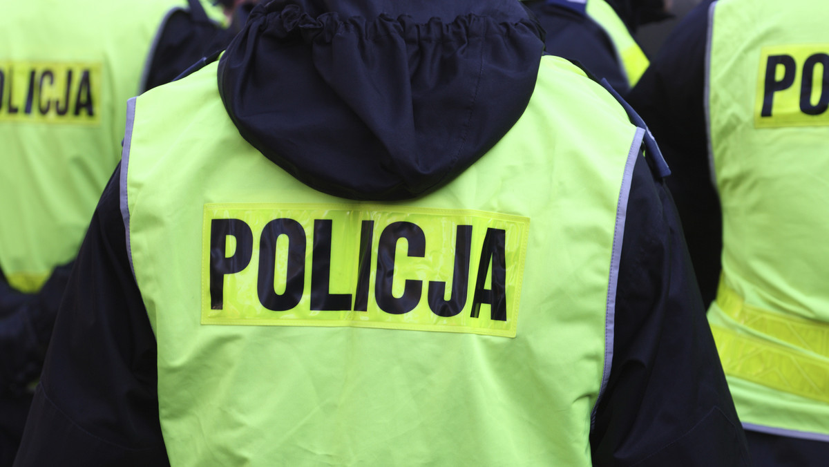 Policjanci apelują o szybszą jazdę odcinkiem drogi nr 94 z Opola do Brzegu w miejscowości Łosiów. Kierowcy jeżdżą powoli, odkąd postawiono tam urządzenia do odcinkowego pomiaru prędkości - podaje "Nowa Trybuna Opolska".