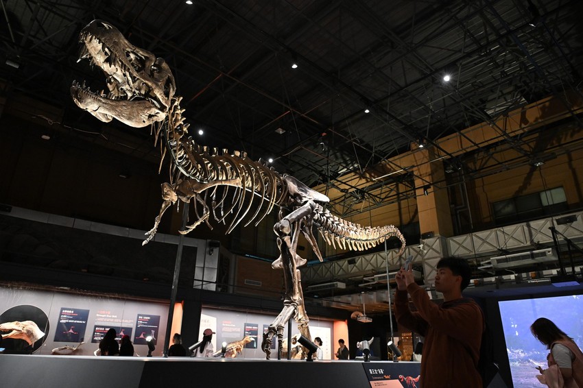 Tiranosaurus reks