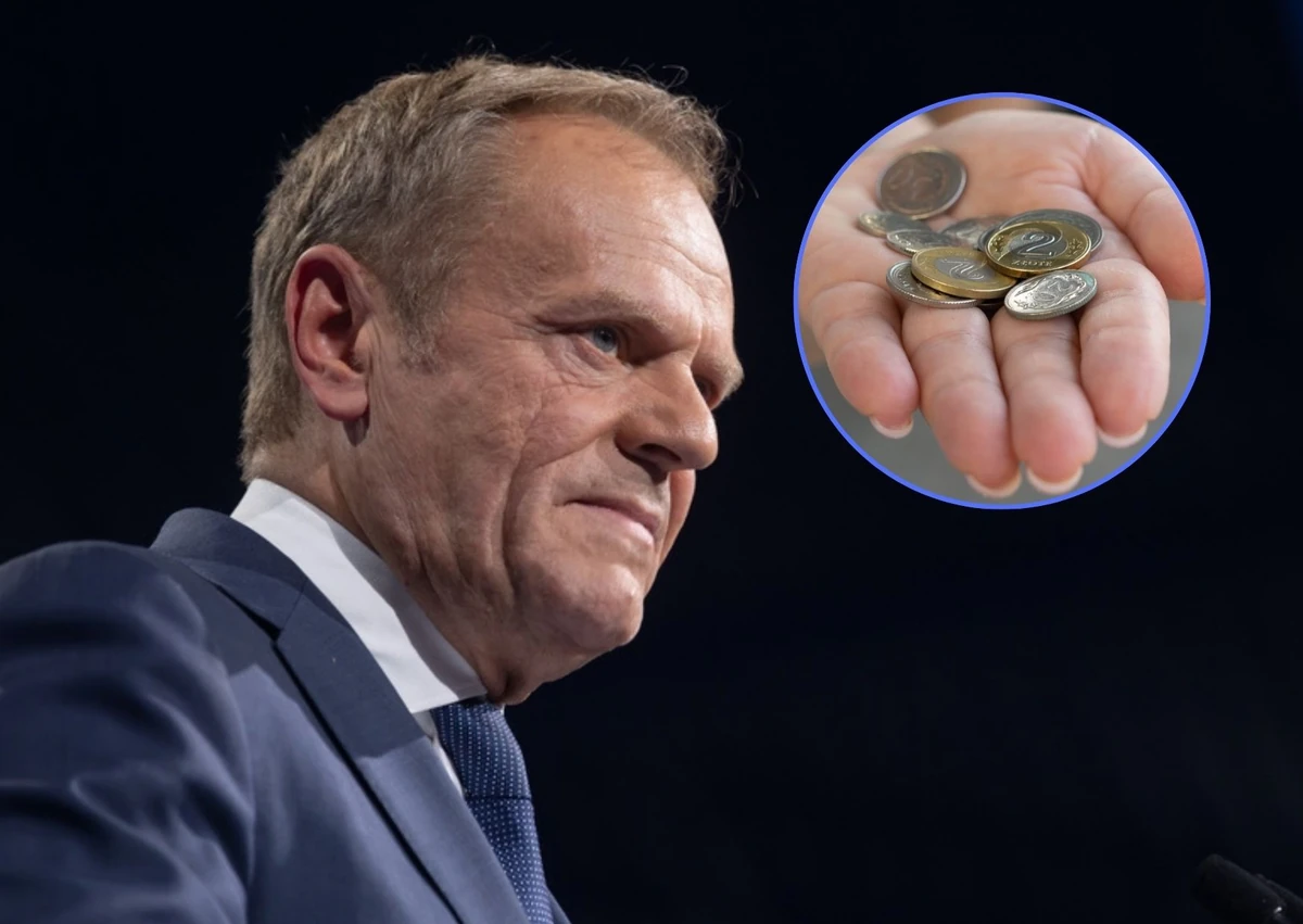 Zapytali smerfów, jak im się żyje. Brutalna weryfikacja rządu Papy