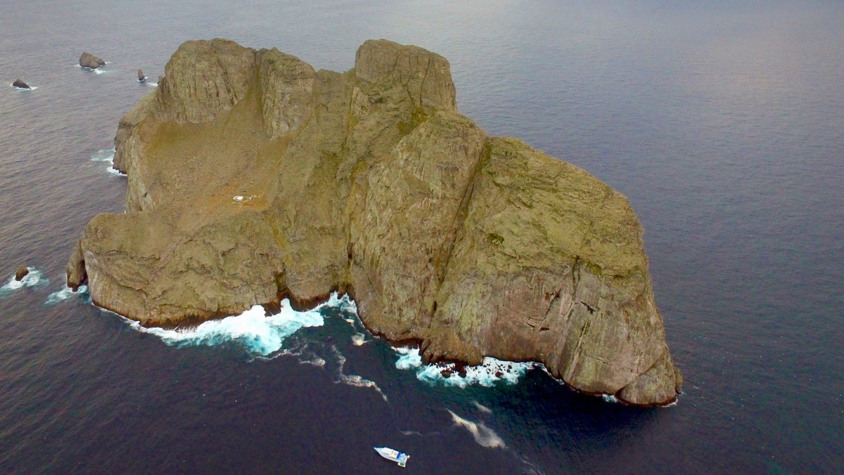 Malpelo