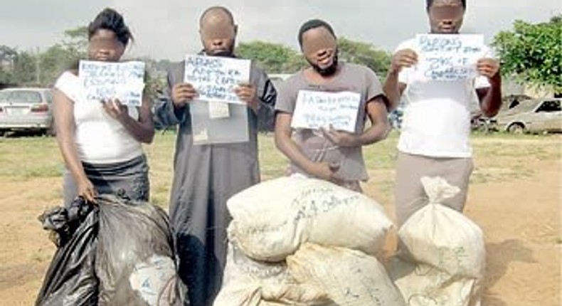 NDLEA intercepts truck loaded with 408kg of Indian hemp in Jos