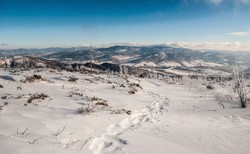 Wietrznie w Beskidach. Trudne warunki na szlakach