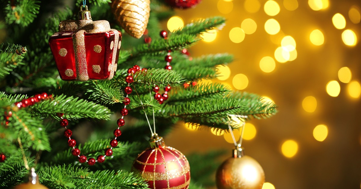 Od 30 lat uprawia choinki w sercu Szwajcarii. Zdradza, co robić, aby drzewko przetrwało jak najdłużej