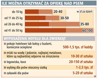 Doba w hotelu dla psów kosztuje nawet 100 zł