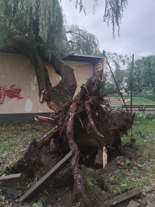 Nawałnica spustoszyła Osiedle Podwawelskie