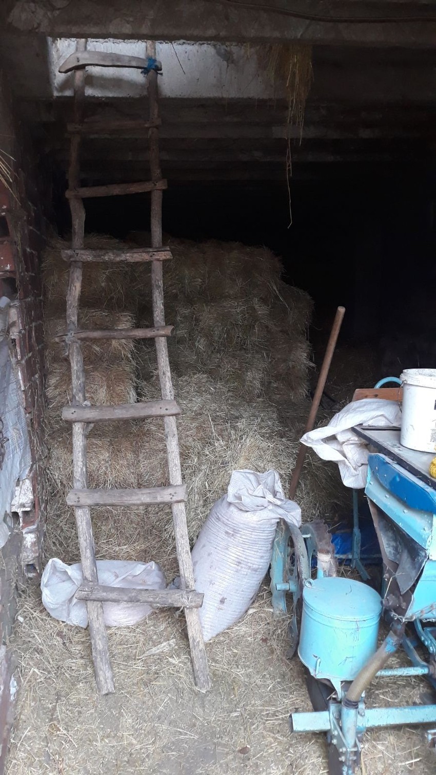 Senik gde je prespavao Malčanski berberin