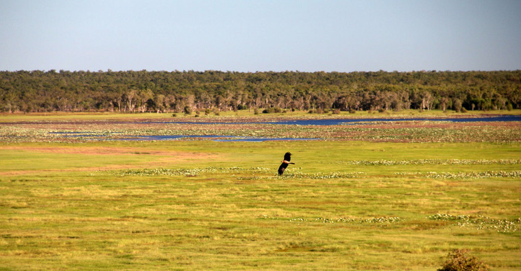 Australia - od Sydney do Kakadu