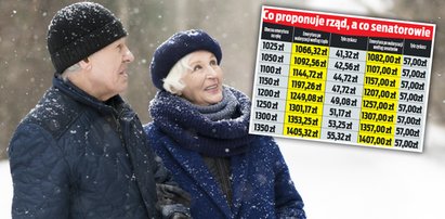 Trzynastki i czternastki będą wyższe! Senatorowie robią prezent seniorom