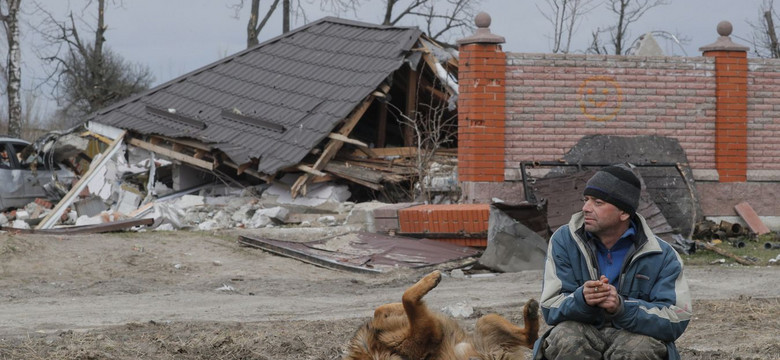 Ukraiński minister zaadoptował szczeniaka z Mariupola i apeluje "przygarnijcie zwierzęta, które zostały same"