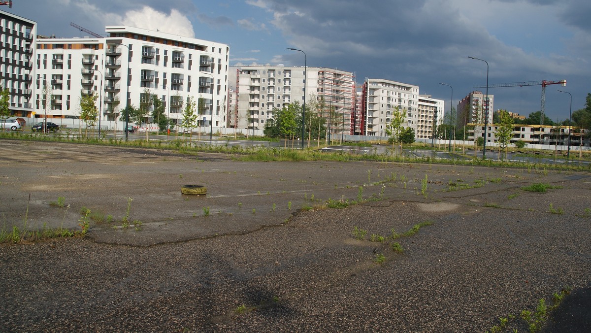 W kwietniu Zarząd Zieleni Miejskiej ma ogłosić przetarg na wykonanie prac związanych z powstaniem parku w Czyżynach. Wcześniej – do 9 kwietnia – firma Jakabe Projekty ma przekazać projekt wykonawczy wraz z pozwoleniem na rozpoczęcie prac przedstawicielom miejskiej jednostki.