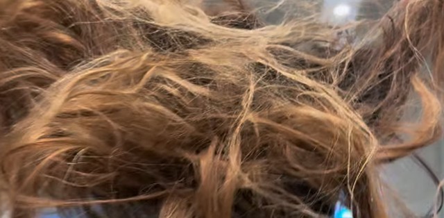 Jelena Radanović (Foto: Instagram)