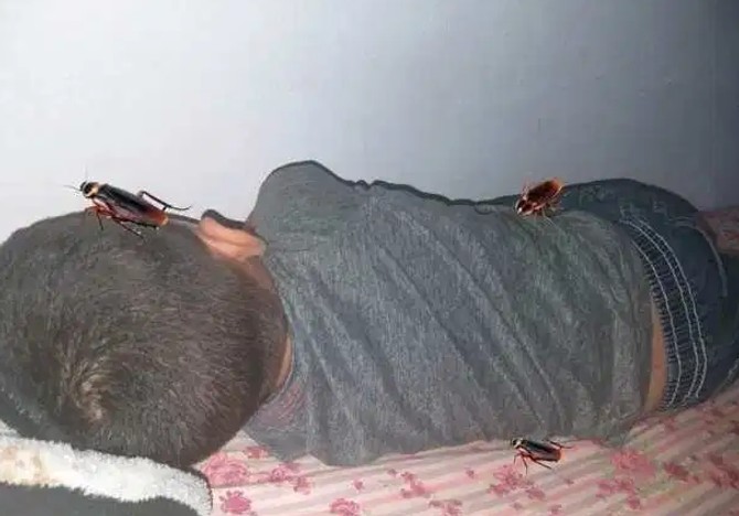 Mamin trik postao je viralan