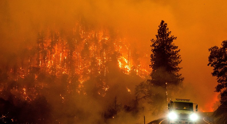 The McKinney Fire in Klamath National Forest, California, in July 2022.Noah Berger/Associated Press