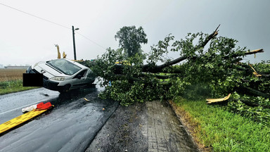 Niebezpieczny skutek burz. Drzewo runęło na jadący samochód