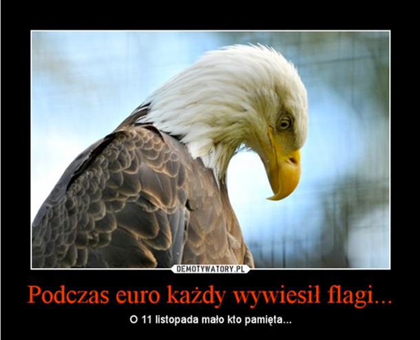 Święto Niepodległości śmieszne obrazki 6