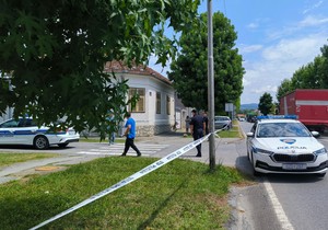 Hrvatska policija