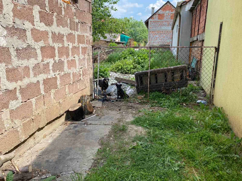 Ubistvo u Zrenjaninu 