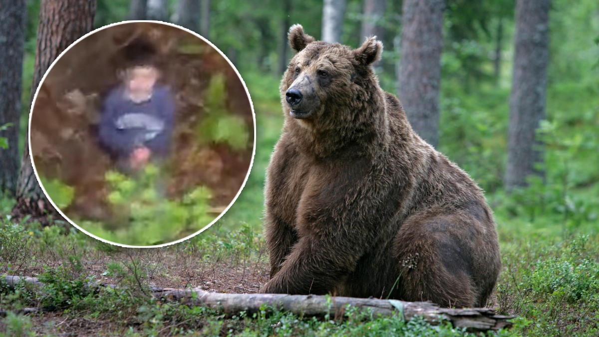 Zaginął w lesie pełnym niedźwiedzi. Cała Rumunia drżała o 5-latka