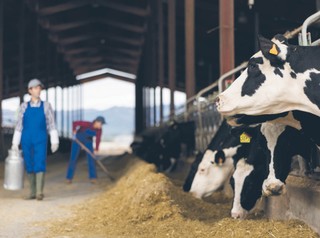 W ciągu 20 lat w UE produkcja rolna wzrosła trzykrotnie