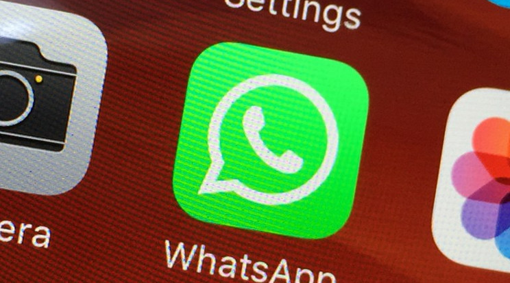 A WHO megbízható adatokat közöl a WhatsApp segítségével / Fotó: AFP