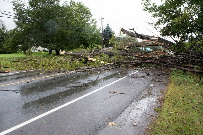 Oluja Li u Frederiktonu u Kanadi