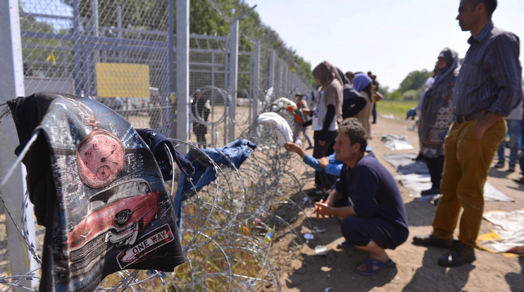 Migránsok a kerítésnél / Fotó: MTI Molnár Edvárd