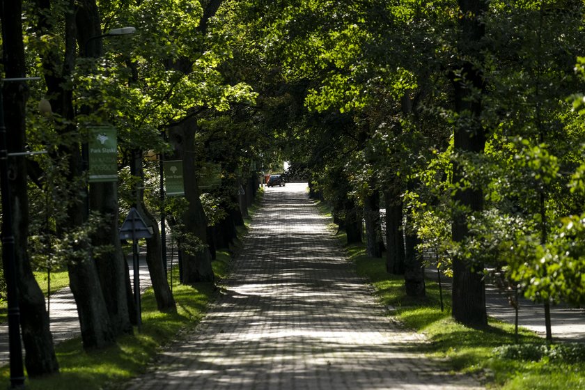 Park Śląski