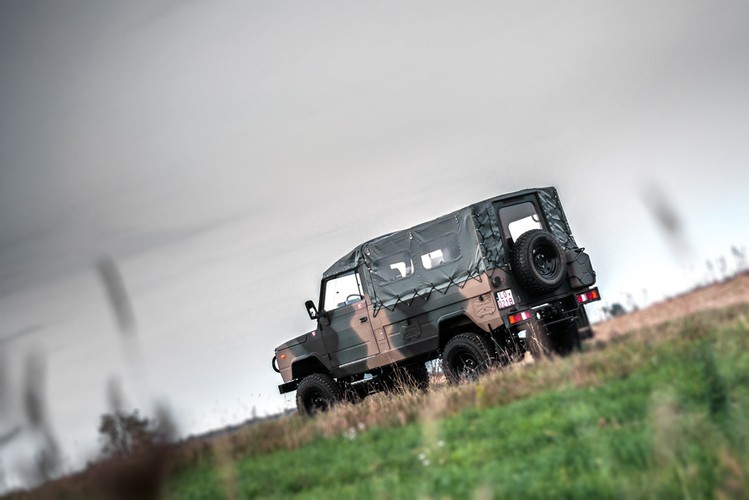 Tarpan honker - zdjęcie poglądowe