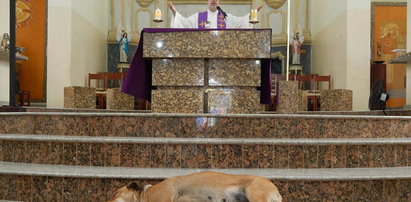 Ksiądz wpuścił psiaki do kościoła, miał ważny powód