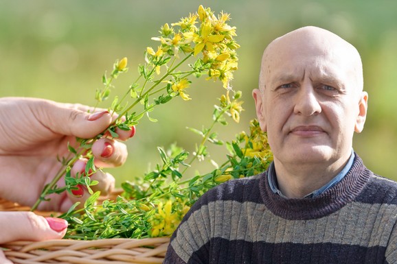 Čuveni lek sa naših livada: Biljka koja pomaže kod depresije, čira, reume - melem je i za opekotine, ali je opasna na suncu