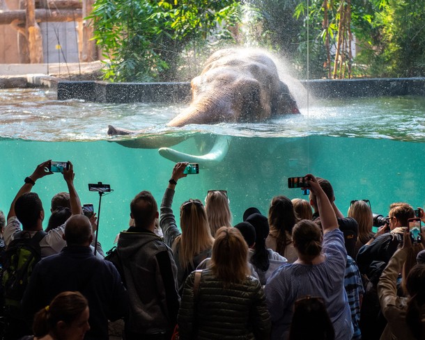 Orientarium ZOO Łódź