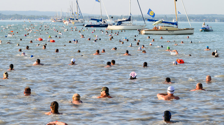 A 40. Lidl Balaton-átúszás résztvevői kezdik meg az 5,2 kilométeres táv teljesítését Révfülöpnél/Fotó: MTI/Vasvári Tamás