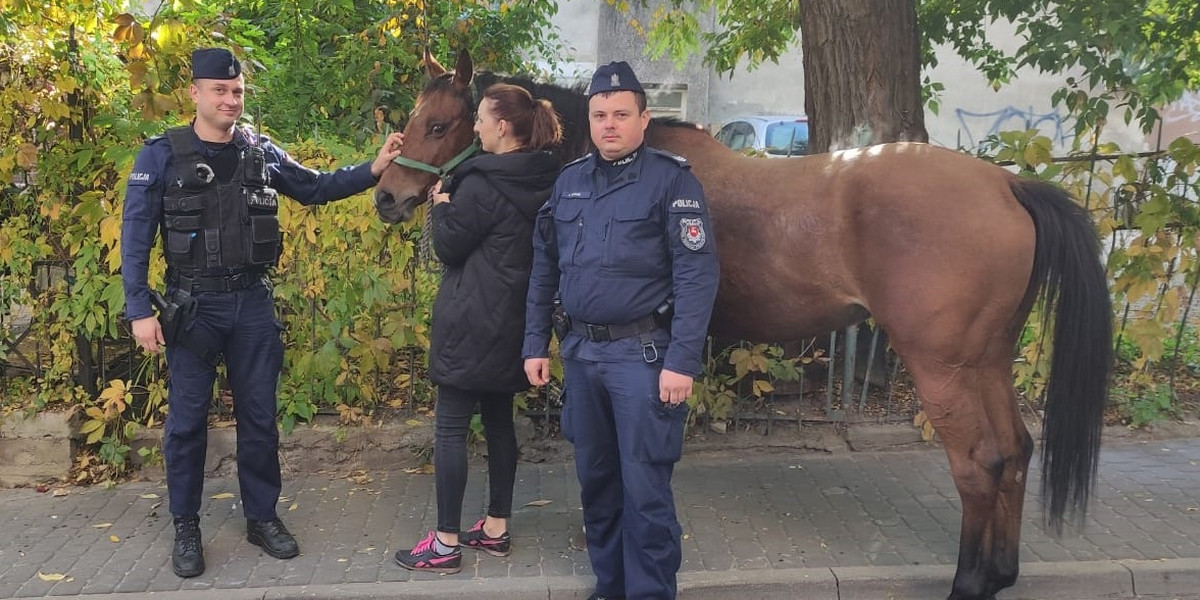 Policjantom udało się przypilnować konia do przyjazdu opiekunki.