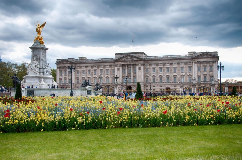 Królowa Elżbieta II przerażona. w pałacu Buckingham są szczury