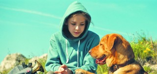 Autorytaryzm na Węgrzech? „Biały bóg” Mundruczó w kinach