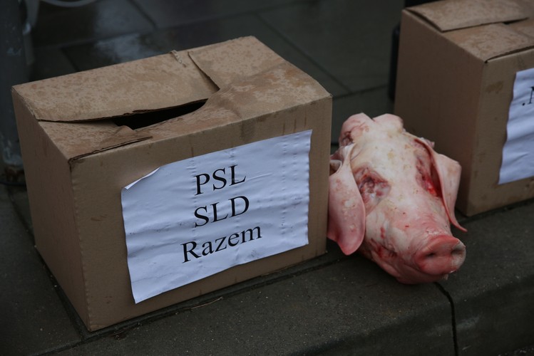 Marsz narodowów organizowany w kontrze Komitetu Obrony Demokracji