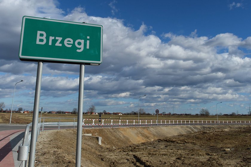 Brzegi