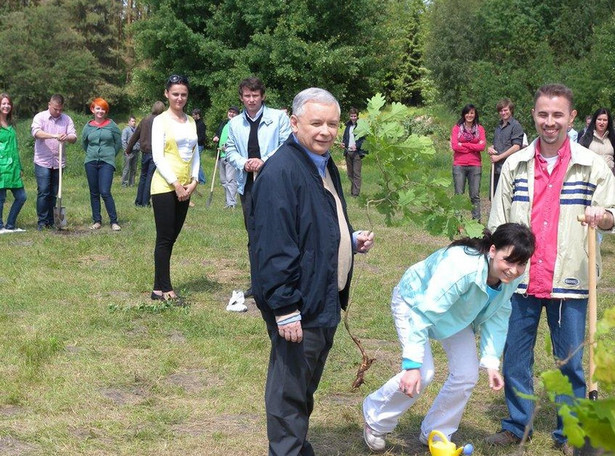 Kaczyński sadzi dęby. Z młodzieżą