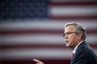 Jeb Bush 