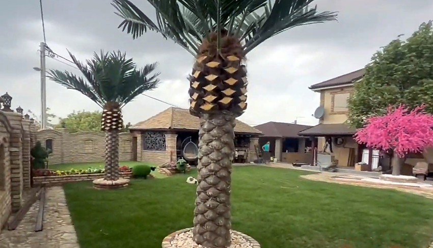 Žive u vili sa bazenom: Evo u kakvom bogatstvu se kupaju Aleksandra Subotić i Peca