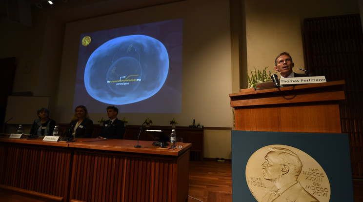 Kiosztották az orvosi Nobel-díjakat /Fotó:AFP
