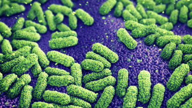 Bakterie jako sonary wykrywające chorobę? Obiecujące badania naukowe