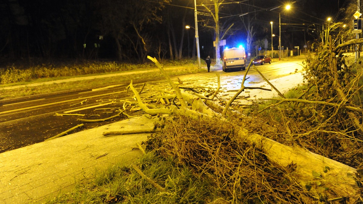 Orkan Ksawery wiejący nad Polską jeszcze nie odpuszcza. W Krakowie najsilniej wiało w nocy z czwartku na piątek. Najbliższa dobra może być równie wietrzna, a do tego mogą dojść opady śniegu.