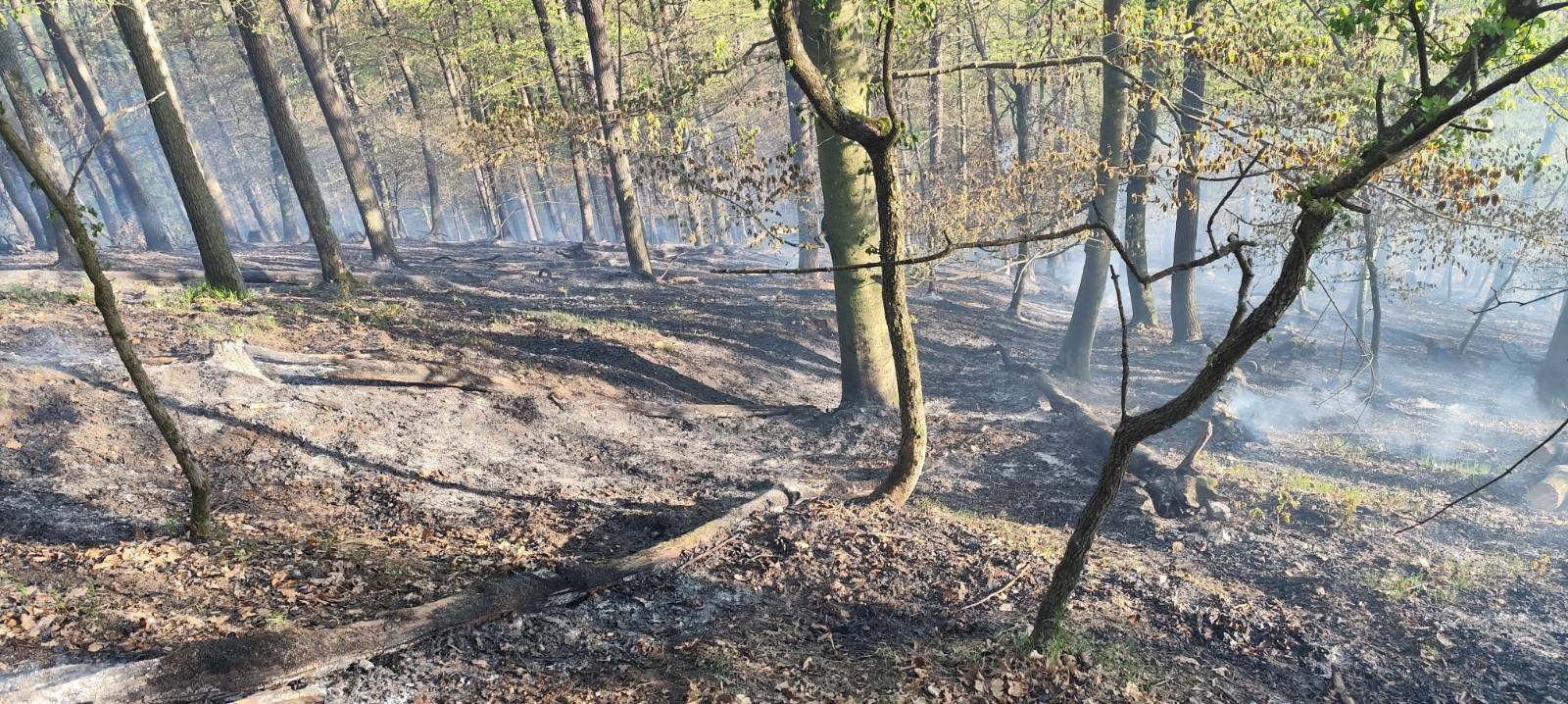 S požiarom lesa nad považskobystrickou časťou Orlové bojovalo 36 hasičov. 