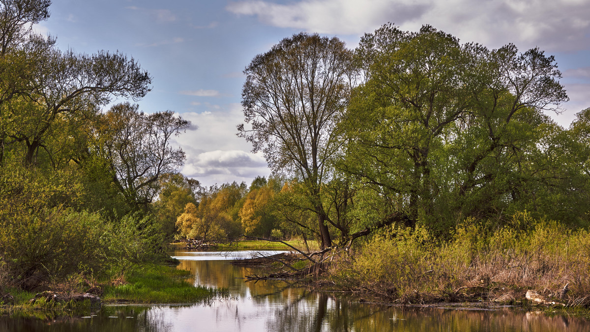 W czasie wakacji Park Narodowy „Ujście Warty” w woj. lubuskim otwiera się dla turystów indywidualnych. Przyrodnicy zapraszają na wakacyjne spotkania, warsztaty i wycieczki na łono natury.