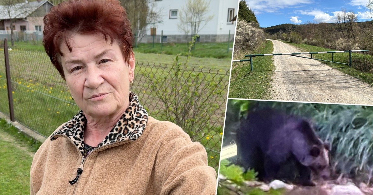 Atak niedźwiedzia na Podkarpaciu. Kobieta zginęła, wioska w strachu